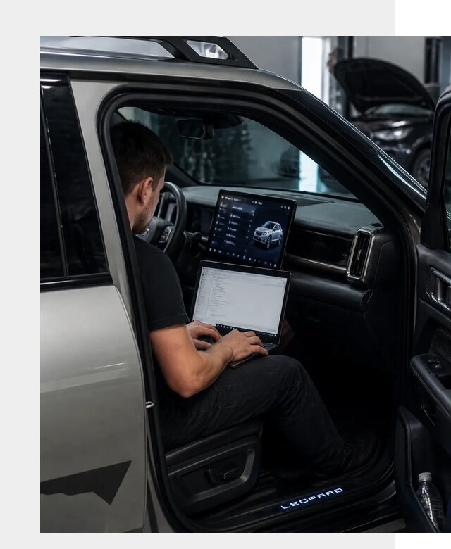 Русификация BYD Leopard 3 в Сыктывкаре по цене от 20519 р. | ФастМобиль-Скт